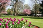 The Sun Shines on Swindon Town Gardens